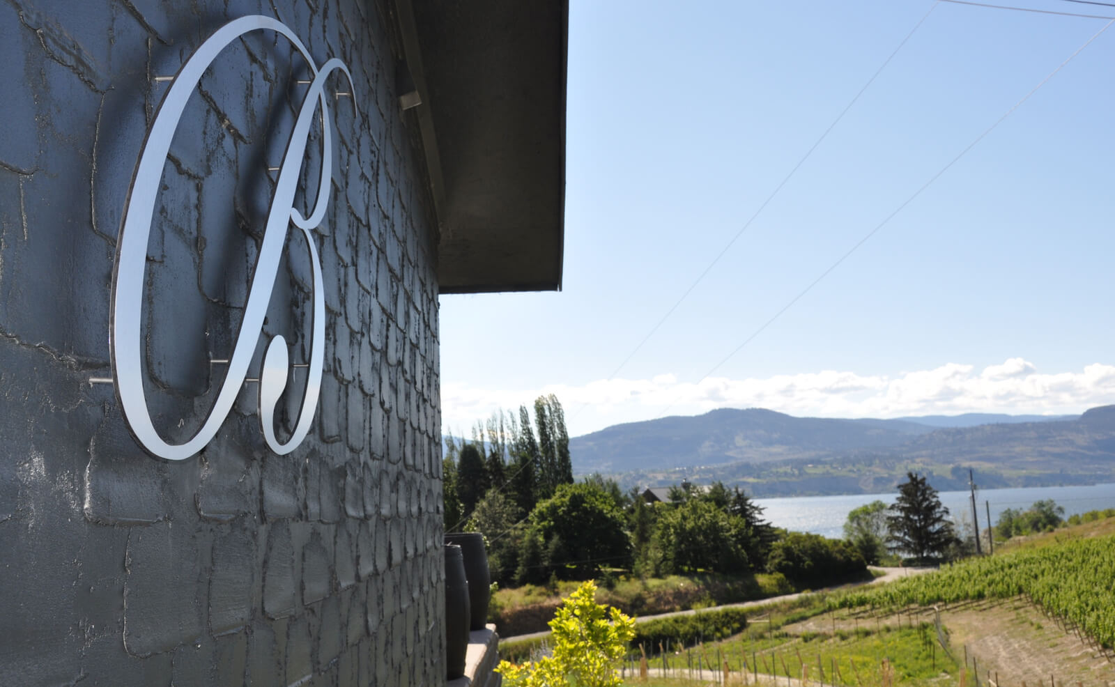 Bella Wines
