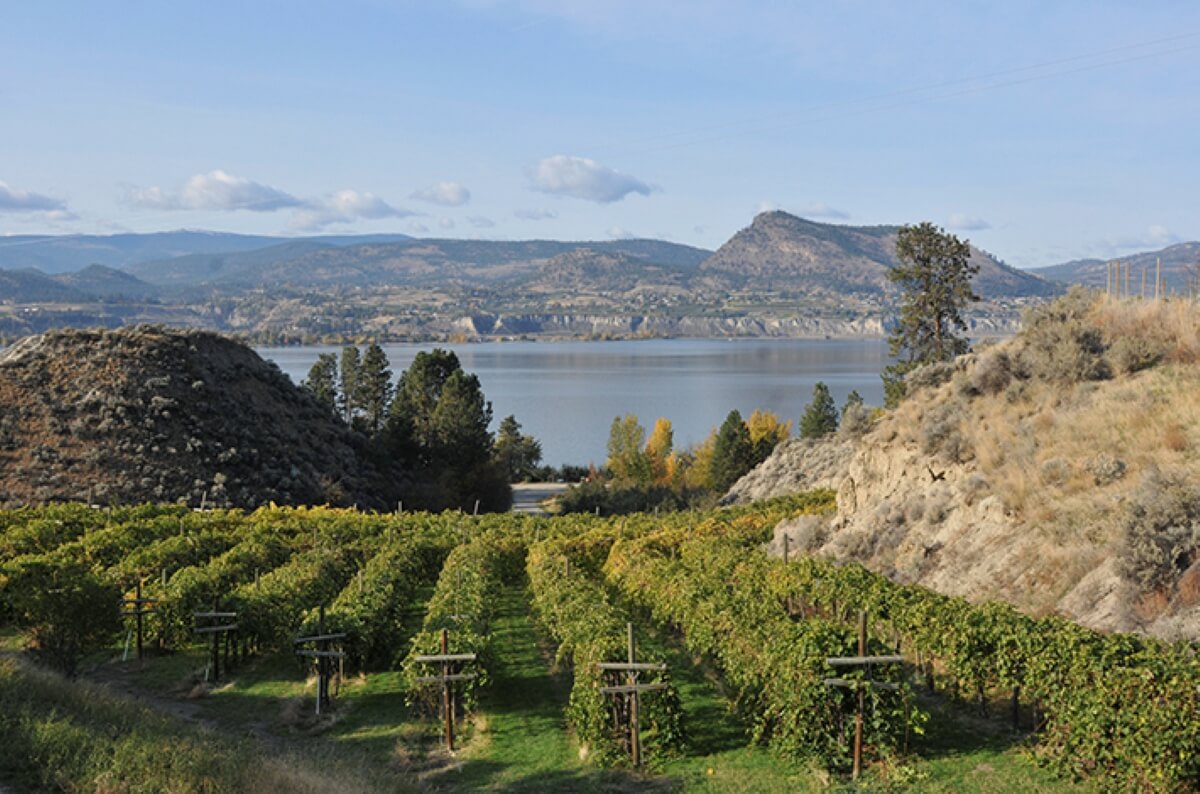 Kettle Valley Winery