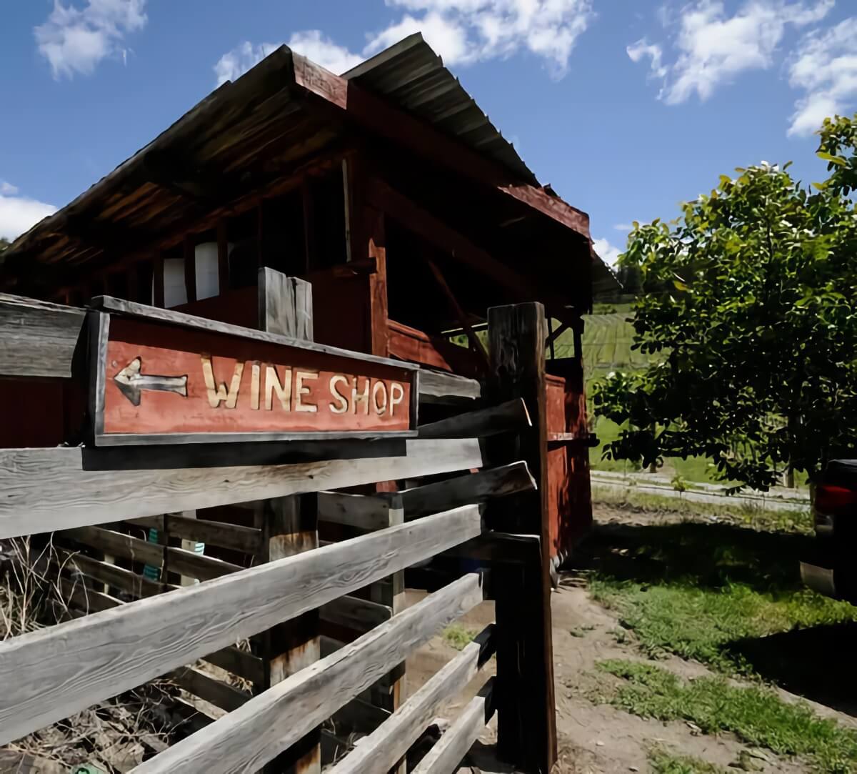 Nichol Vineyards