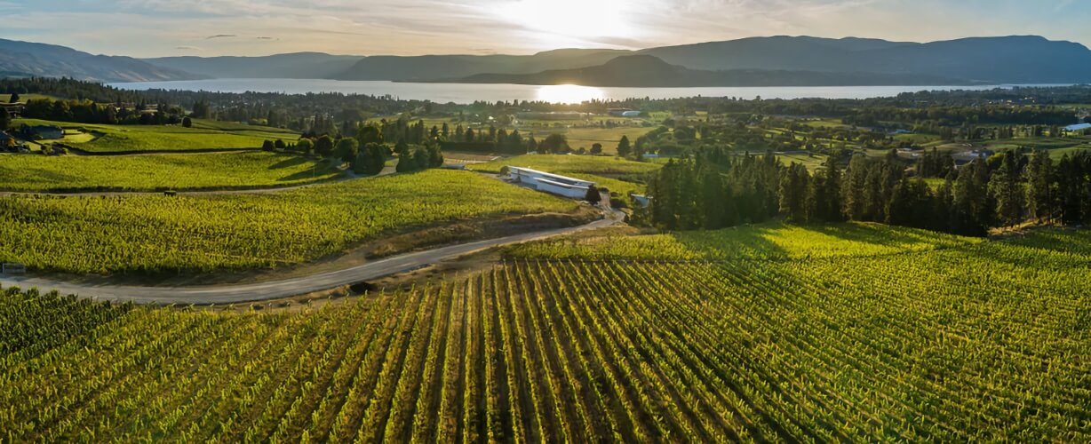 Tantalus Vineyards