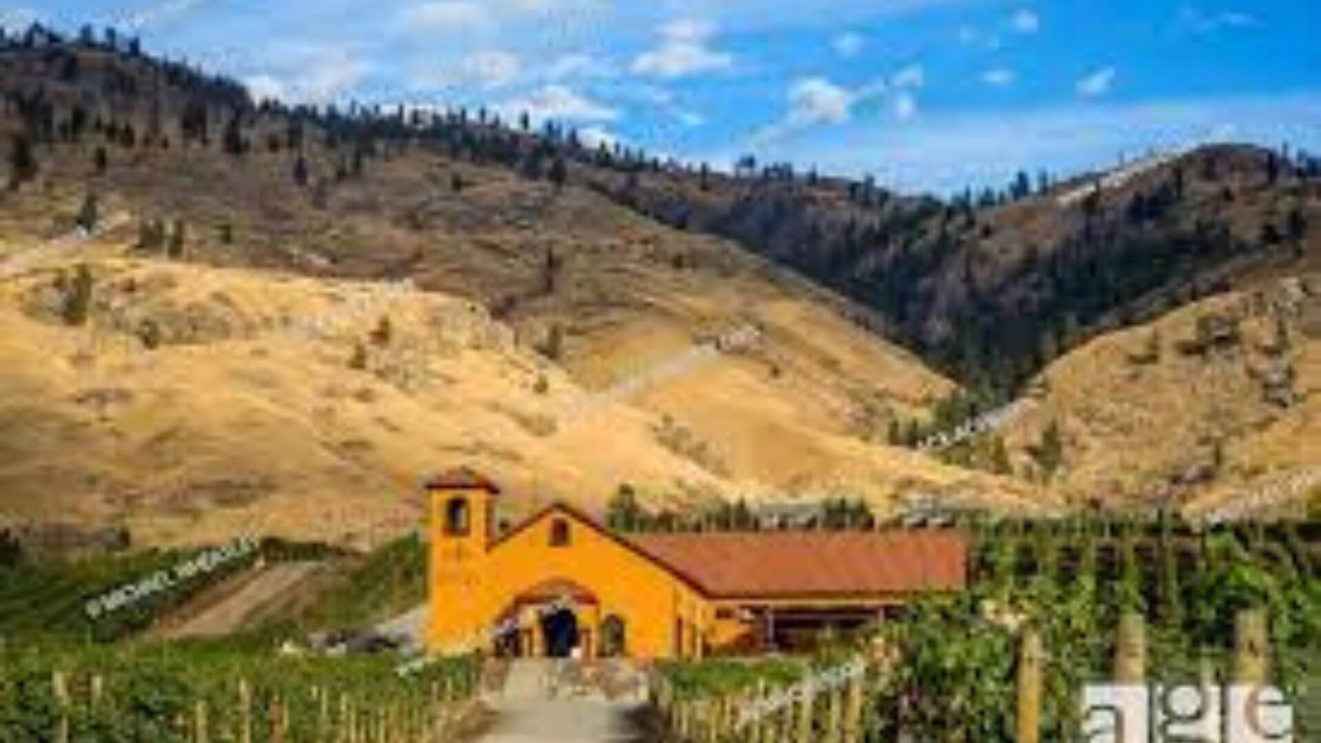 Adega on 45th Estate Winery