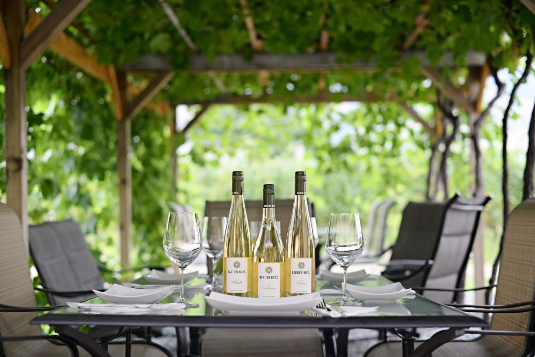 Bartier Bros. Vineyard & Winery