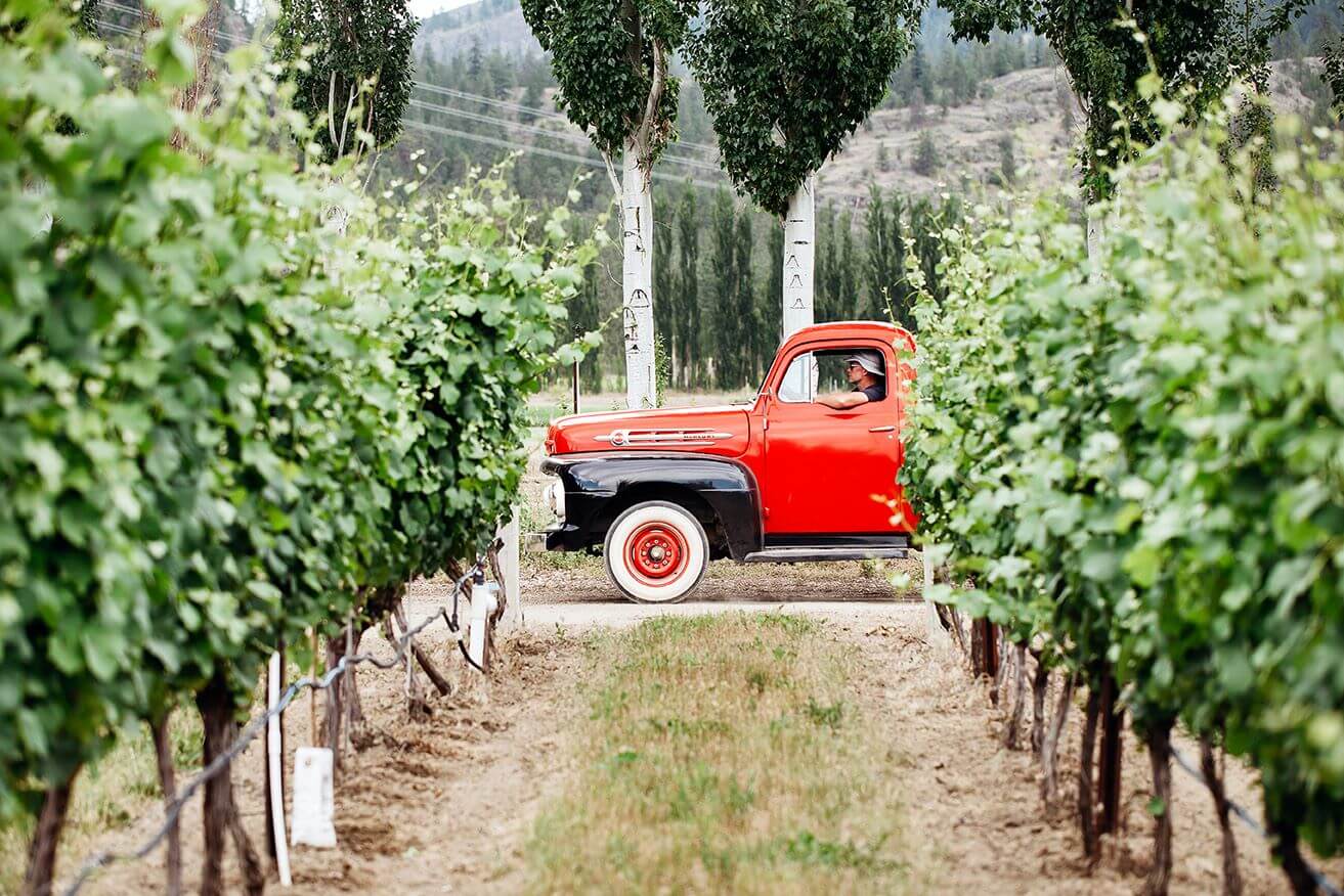 Covert Farms Family Estate