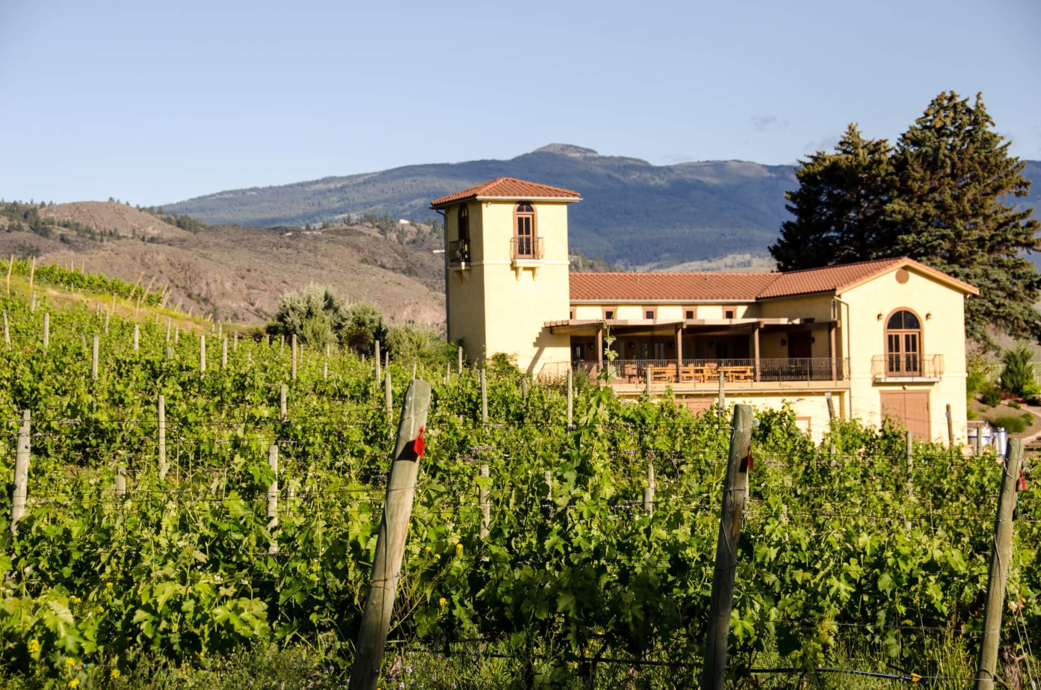La Stella Winery