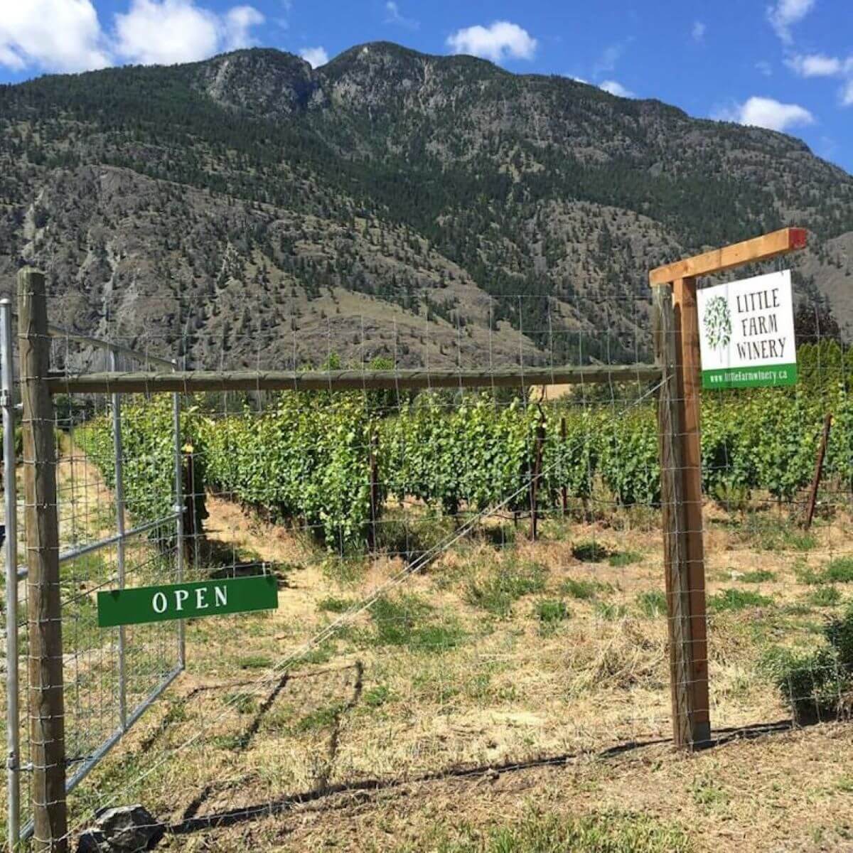 Little Farm Winery