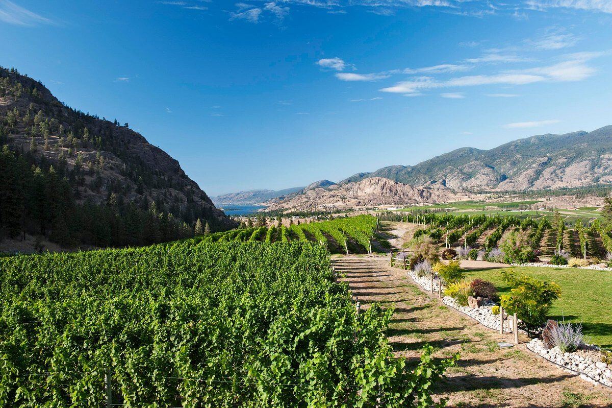 See Ya Later Ranch