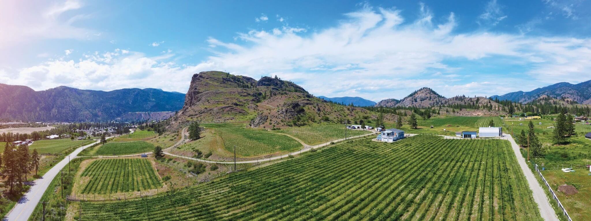Synchromesh Wines