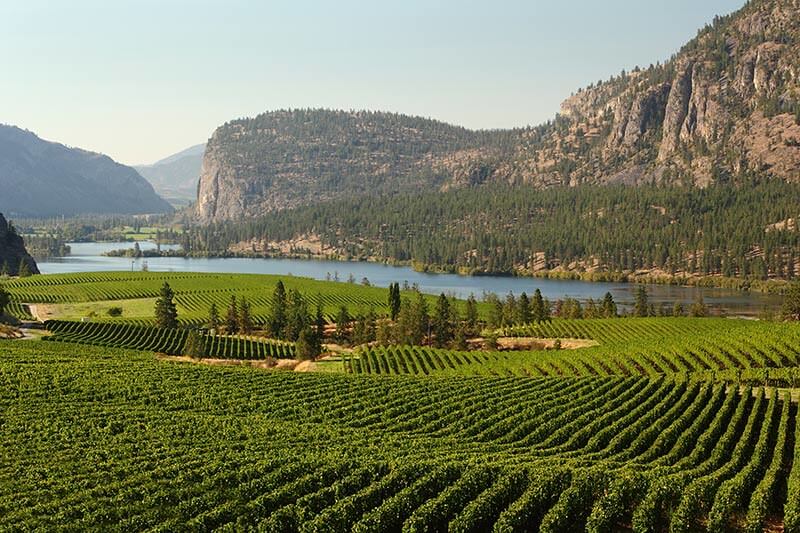 Vaseux Lake and vineyards in the Okanagan Valley